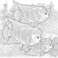 Flowerhorn cichlid adult coloring book page Royalty Free Stock Photo